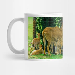 Billy Goats Gruff Mug